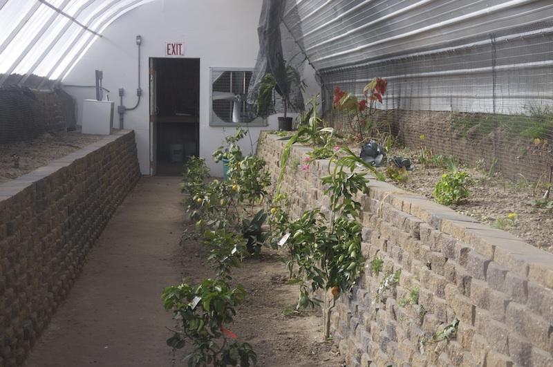 Alliance High School Greenhouse Open for Students