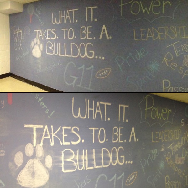 The Bulldog Way