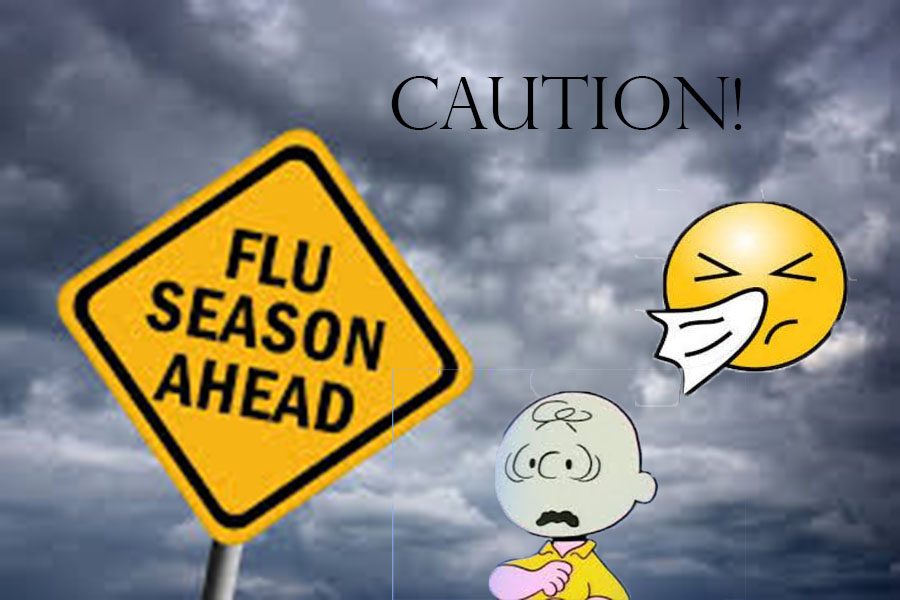 Flu+Season