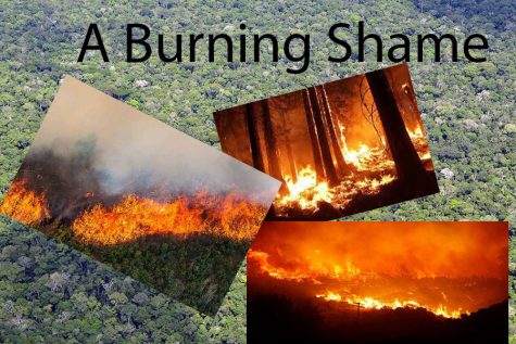 A Burning Shame