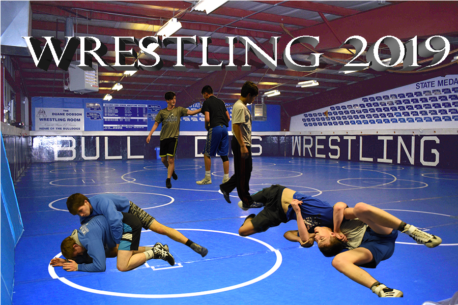 Wrestling preview