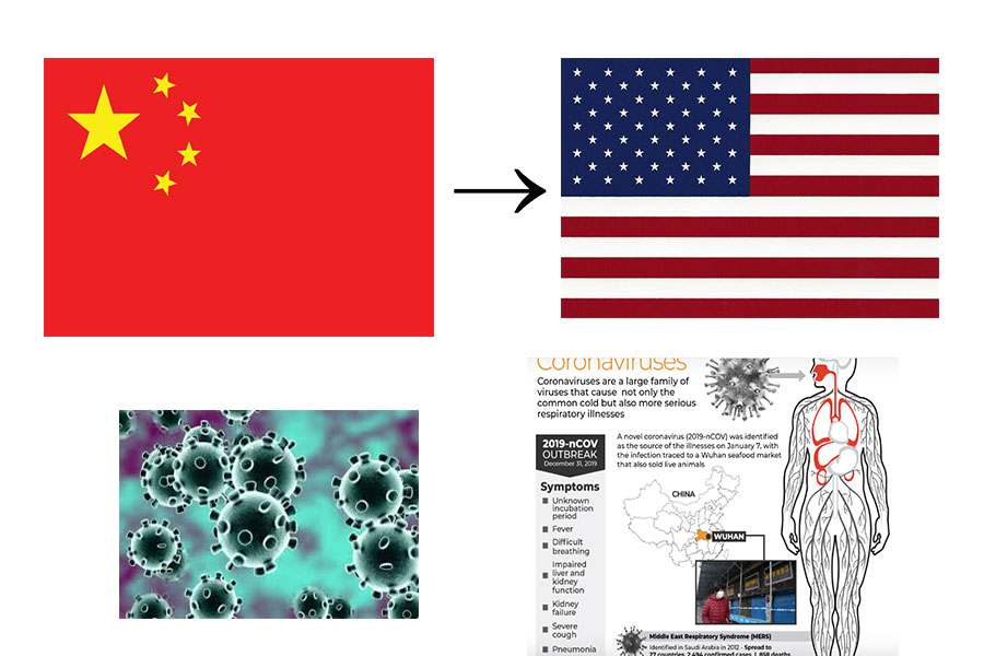 The Coronavirus Epidemic