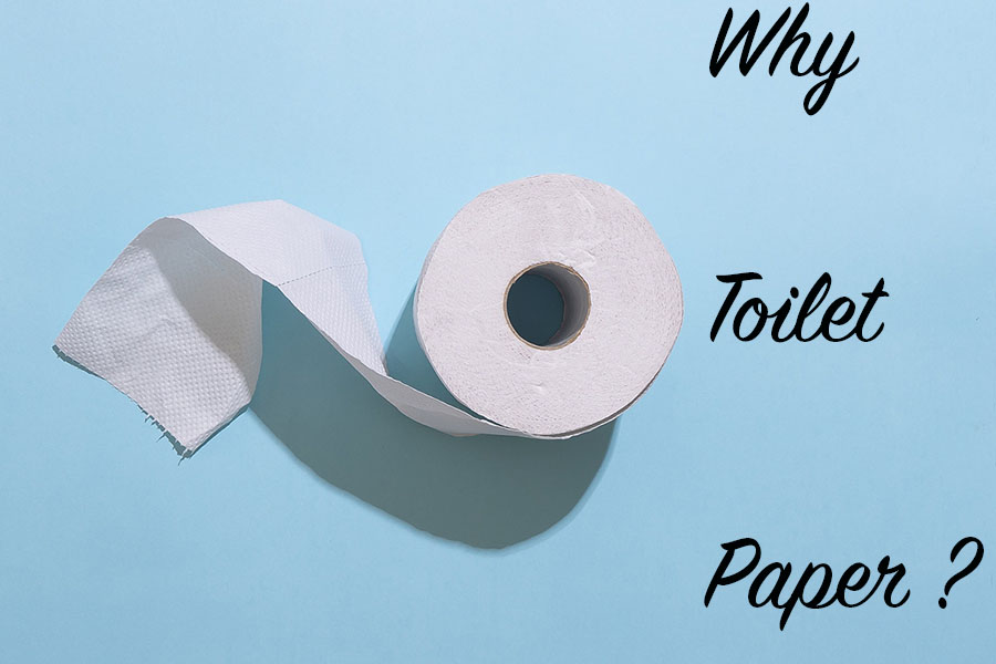 Why Toilet Paper?