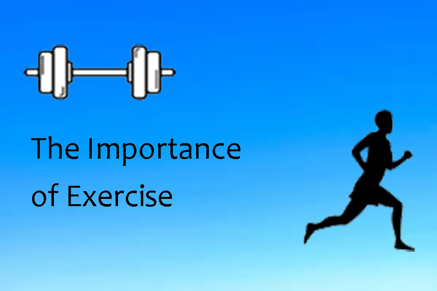 The+Importance+of+Exercise