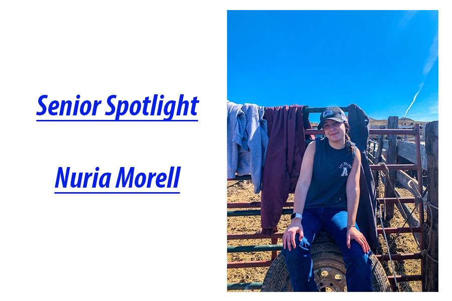 Senior Spotlight: Nuria Morell