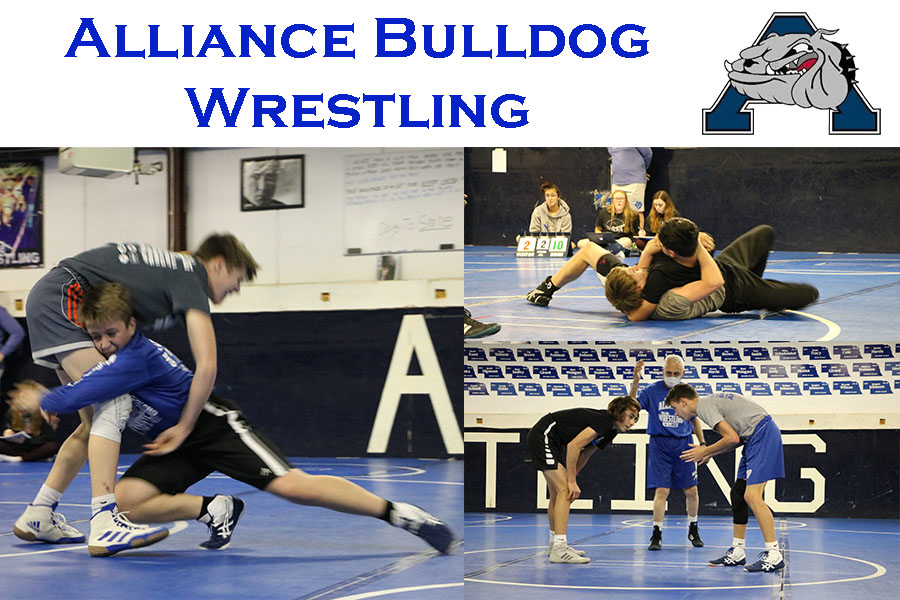 2020 Wrestling Preview
