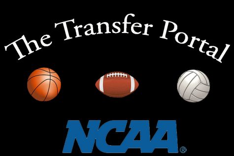 The Collegiate Transfer Portal