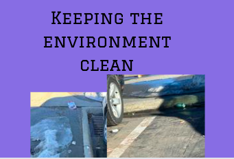 Keeping The Environment Clean