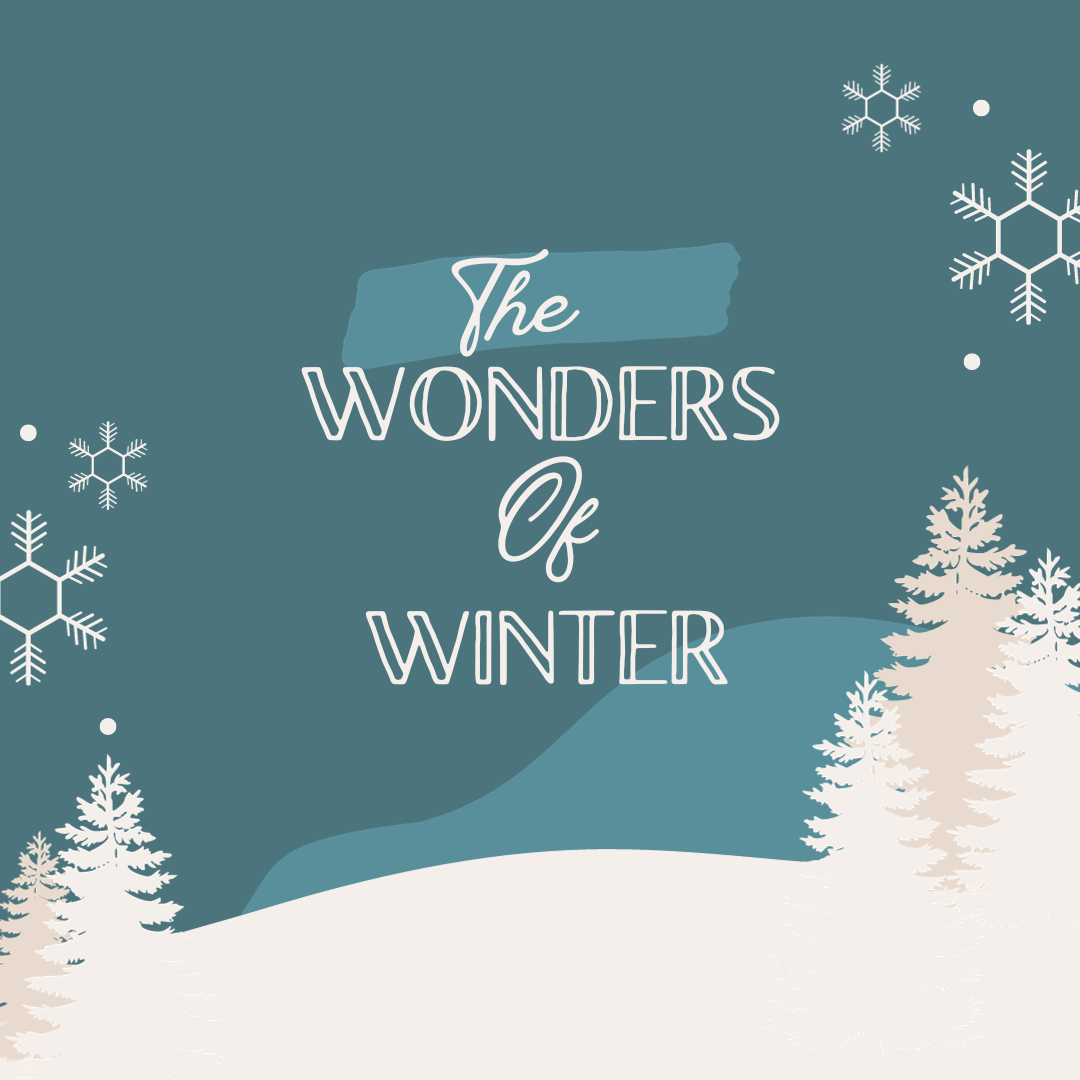 The+Wonders+of+Winter